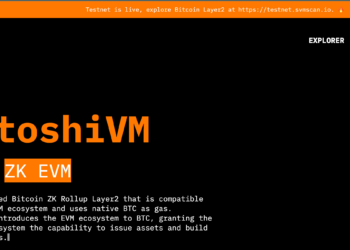 比特幣L2》SAVM單日跳漲50倍，誰開發了SatoshiVM、代幣經濟學？