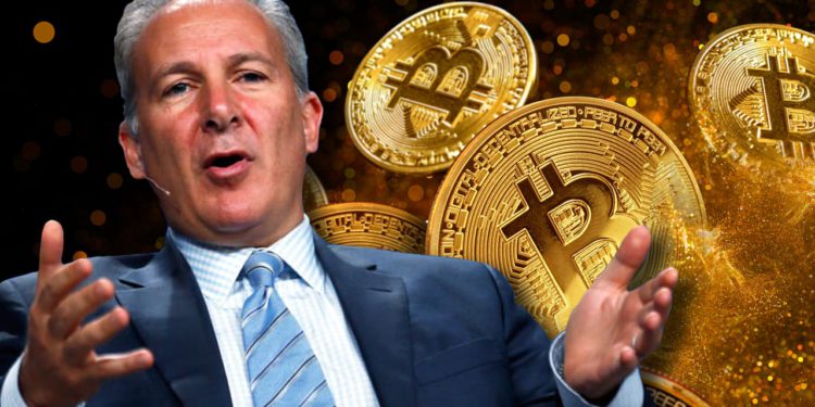 神預測BTC狂跌！比特幣大反派Peter Schiff：現貨ETF正陷熊市下場慘！