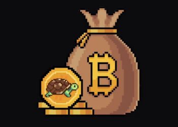 五天一個新項目》比特幣Ordinals的IDO平台「TurtSat」是什麼？