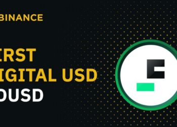 BUSD掰掰！幣安Binance-Peg抵押資產今轉換為FDUSD