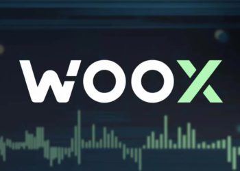 交易所WOO X新一輪融資獲900萬美元！做市商Wintermute參投