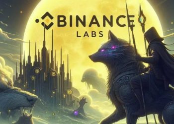 假傳聖旨》SkyArk謊報獲幣安領投1500萬鎂融資遭Binance Labs打臉，社群氣炸要退款