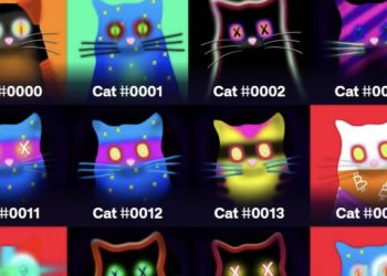 比特幣NFT「量子貓」：沒有智能合約，銘文如何實現動態變化？