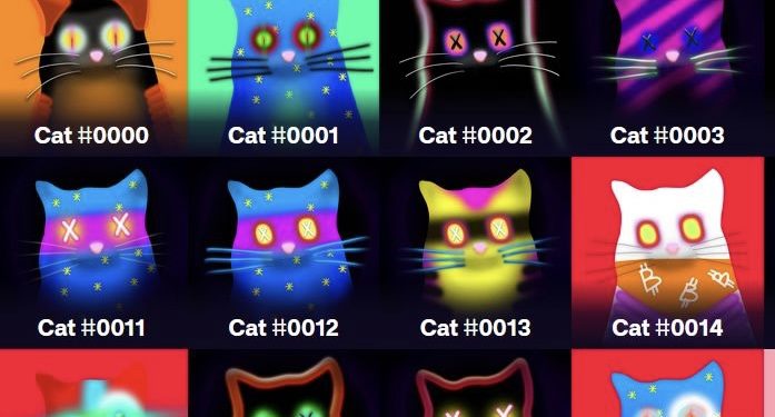 量子貓 | 動區動趨-最具影響力的區塊鏈新聞媒體 比特幣NFT「量子貓」:沒有智能合約,銘文如何實現動態變化?