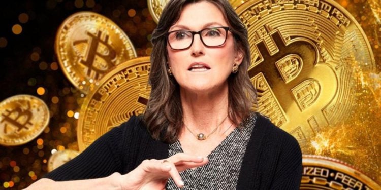 方舟女股神：比特幣正在「取代黃金」，銀行危機將證明BTC避險特質