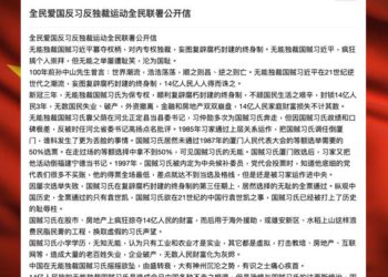 中國幣圈爆「罵政府連署書」，大量KOL急澄清：是假冒！我愛國愛黨