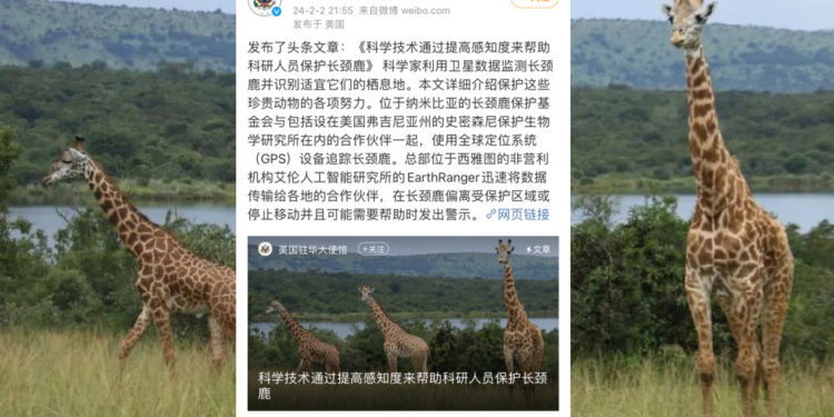 中國股民 | 動區動趨-最具影響力的區塊鏈新聞媒體 中國股市慘跌引爆「長頸鹿事變」!美國使館微博遭洗版:我愛USA,救救可憐股民吧..