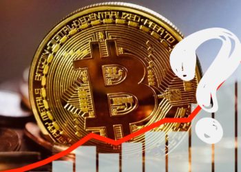 萬人調查：84％相信比特幣減半後迅速攻克6.9萬鎂、70％投資者計畫加倉