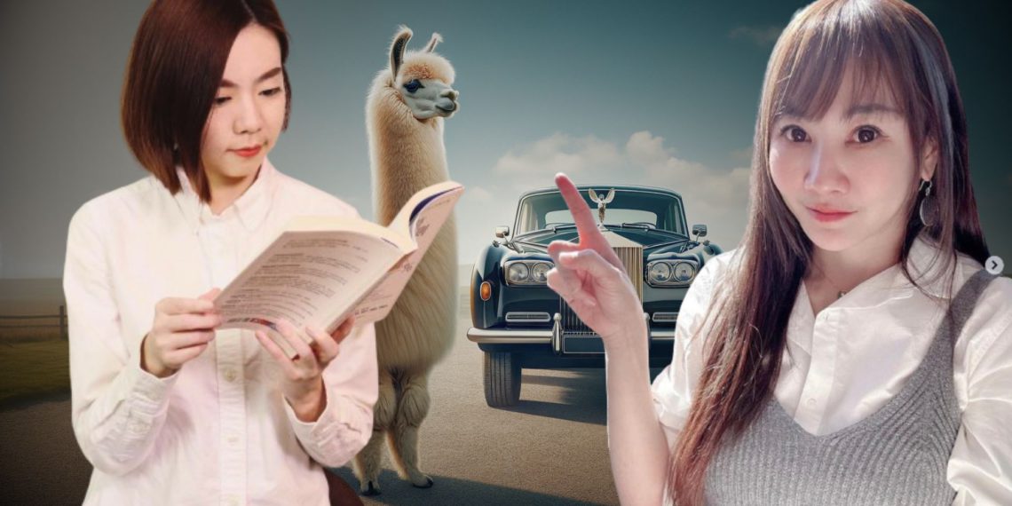 萌寵樂園 | 動區動趨-最具影響力的區塊鏈新聞媒體 幣圈KOL水丰刀(閱部客)怒告“財富女神”發包NFT專案欠款73萬!法院僅判賠800元:無法證明成本