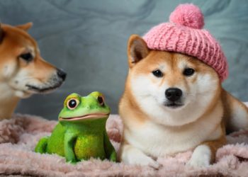 誰是「最強Meme」？ 盤點史上最貴七大迷因 NFT，持有者都是誰