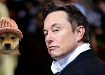 馬斯克曬狗帽照，WIF「秒噴20%」重返3美元，為何頻喊盤狗系迷因幣？