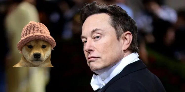 | 動區動趨-最具影響力的區塊鏈新聞媒體 馬斯克曬狗帽照,WIF「秒噴20%」重返3美元,為何頻喊盤狗系迷因幣?