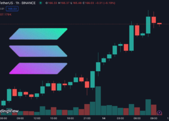 BNB跳漲15%突破630美元！CEX平台幣、Solana板塊成市場追逐熱點