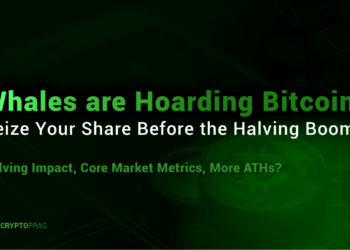 M6研報》比特幣減半如何影響市場，BTC生態現在有什麼機會可趁？