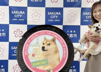 紀念狗狗幣Doge本柴！日本千葉縣為KABOSU設立雕像與地方迷因人孔蓋