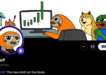 迷因幣SLERF集資5萬枚SOL「不小心全燒毀」，創辦人抱歉：我準備去坐牢..代幣暴漲