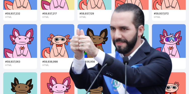 薩爾瓦多將5,689 枚比特幣轉入冷錢包！地址湧入捐款：稀有聰、密碼龐克宣言…