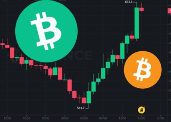 比特幣現金「減半後V型反轉」暴漲17.6%，BTC 未來劇本搶先上演？