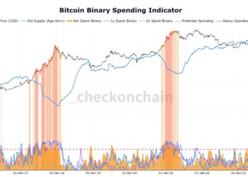 從巨鯨BTC持倉量分析，本輪牛市的發展進度到哪了？