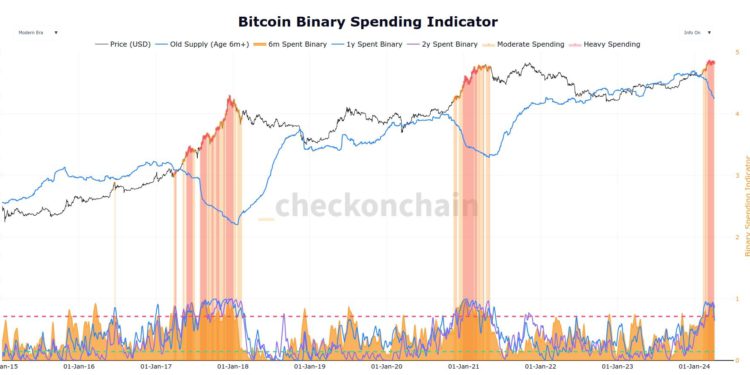 從巨鯨BTC持倉量分析，本輪牛市的發展進度到哪了？
