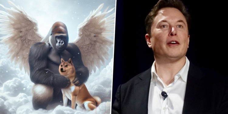 Doge-kabosu-Elon-Musk | 動區動趨-最具影響力的區塊鏈新聞媒體 馬斯克發文悼念狗狗幣本尊 Kabosu!$DOGE 跳漲 5%