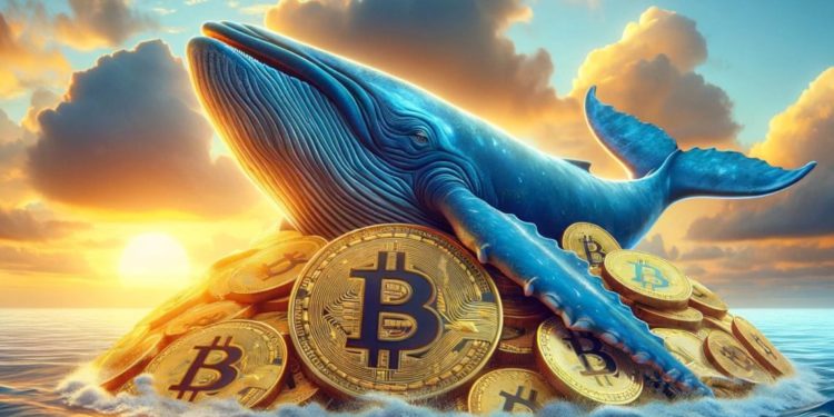 比特幣漲破69000鎂、鯨魚大買13.4億鎂 BTC！CryptoQuant：大戶正加速囤積