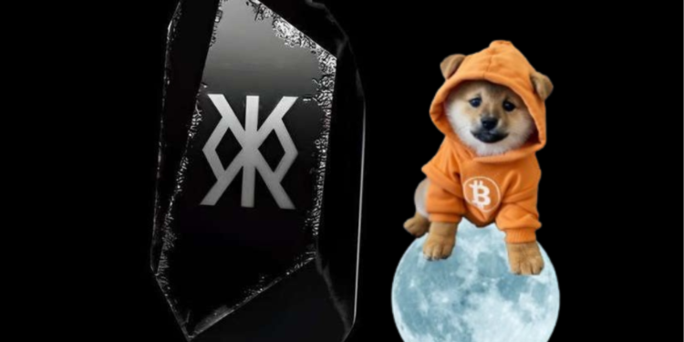 dog | 動區動趨-最具影響力的區塊鏈新聞媒體 符文DOG突破0.0075美元創新高!Runestone谷底反彈50%,還有哪些潛在利好?