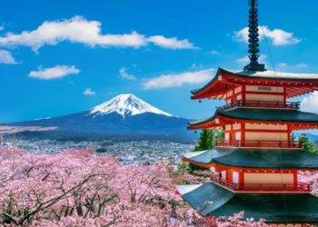 日本Crypto全景報告：分析投資人口比、項目、風險投資，加密稅率竟高達55%？