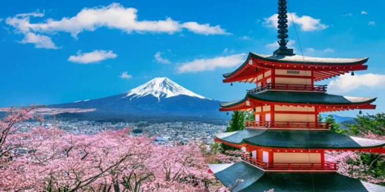 日本Crypto全景報告：分析投資人口比、項目、風險投資，加密稅率竟高達55%？