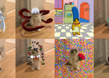 IP爭議、反抗VC..貓系迷因幣爆發「貓王爭霸戰」