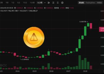 Notcoin回神突破0.008美元，單日跳漲50%！TON生態TVL衝上3億美元