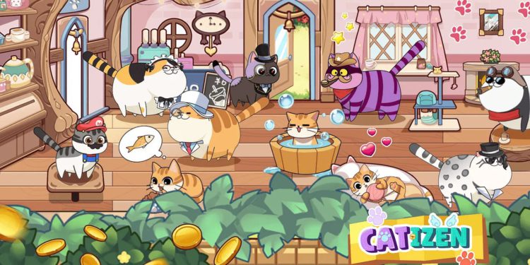 TON生態最魔性擼貓鏈遊「Catizen」操作教學，0成本埋伏空投指南