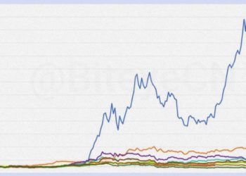 2024上半年，最賺錢的加密貨幣賽道是什麼？