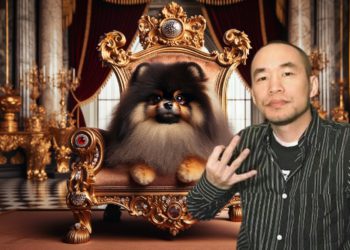 $Bobaoppa創歷史新高，麻吉大哥：就說我家狗兒子迷因幣是先跌後漲