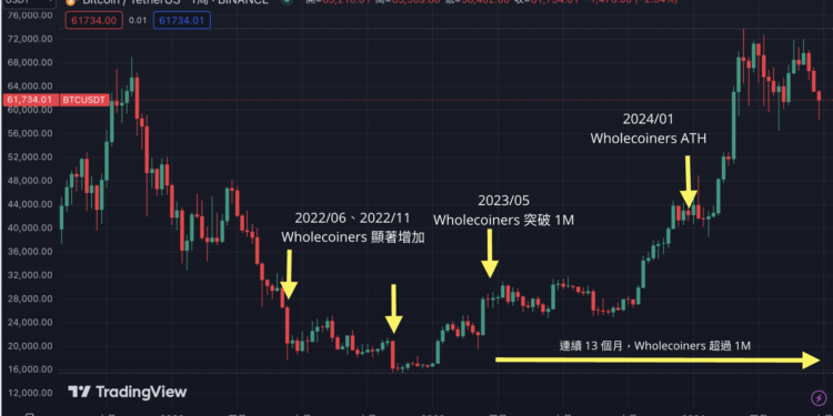 持有1枚比特幣人數連續一年破百萬！選擇權市場看好BTC九月再創新高
