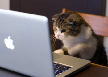 Solana 鏈上異象：項目方不斷 Rug Pull 努力虧錢？明白背後的金錢遊戲