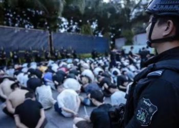 台灣成詐騙王國是因刑責太輕？台陸日韓詐欺犯”懲處力度”對比整理