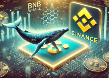 BNB巨鯨大方分享「如何存到70萬顆BNB」：最重要的是運氣..