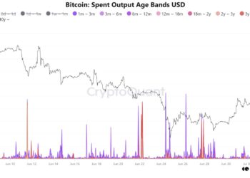 比特幣現貨ETF昨日淨流入創1個月最高！分析師：逃難的都是新手，HODLer堅定