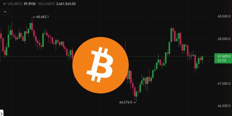 慶祝拜登退選》輝達大漲4%、台積電ADR反彈，美股四大指數齊揚；比特幣攀高6.8萬美元