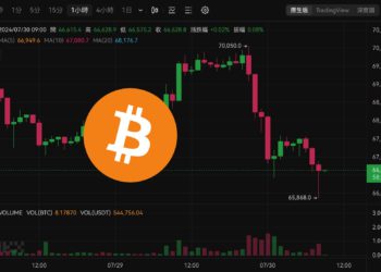 美國政府轉移20億美元比特幣》BTC插針65800，Mt.Gox接力拋售？