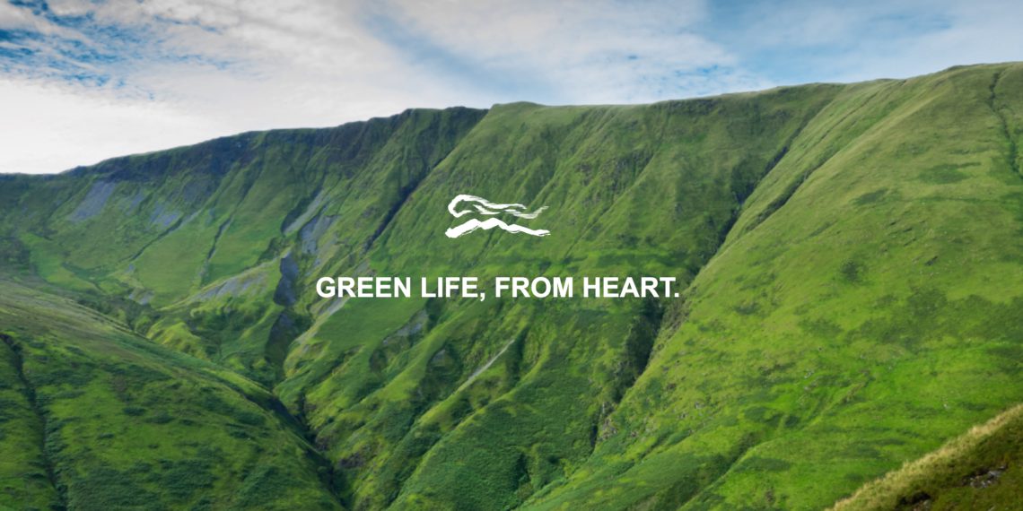 雲豹能源＝台股迷因？連吞3根跌停蒸發百億市值，投資人哀嚎：拜託救救我..