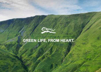 雲豹能源＝台股迷因？連吞3根跌停蒸發百億市值，投資人哀嚎：拜託救救我..