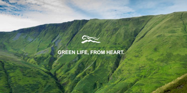 雲豹能源＝台股迷因？連吞3根跌停蒸發百億市值，投資人哀嚎：拜託救救我..