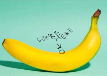 6個經濟指標揭示市場進入「香蕉區」，BTC暴漲倒數計時？