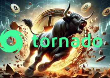 牛市前兆？Tonado.Cash 近半年活躍度暴增，巨鯨疑偷然埋伏