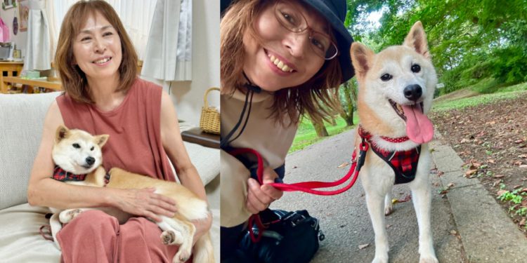 川普喊單不如狗？Doge主人新養柴犬「Neiro」，同名迷因幣暴漲1250倍