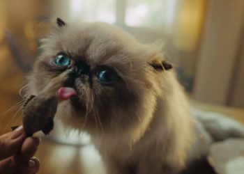 Coinbase暴力加持》貓咪迷因幣MIGGLES三天飆漲3000倍，竄紅原因是什麼？