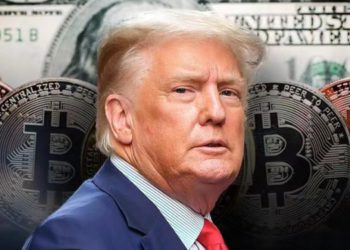 渣打看好：比特幣在美國總統大選攻上10萬美元！川普勝選機率飆升