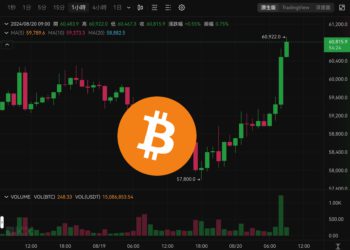 BTC逼近6.1萬鎂》74%比特幣流通過去半年未移動，持有者HODL看漲